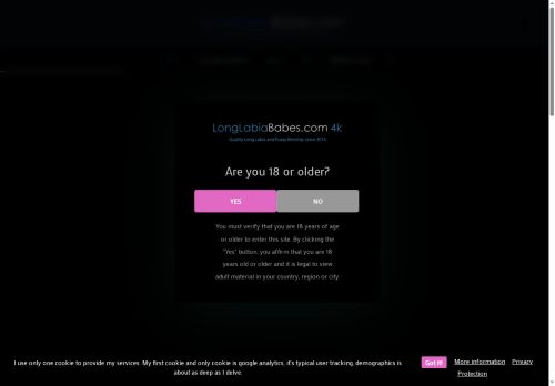 longlabiababes.com capture - 2025-06-10 19:12:20