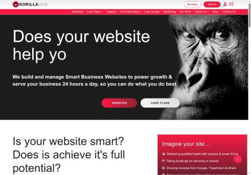 gorillahub.co.uk capture - 2025-06-10 19:53:41