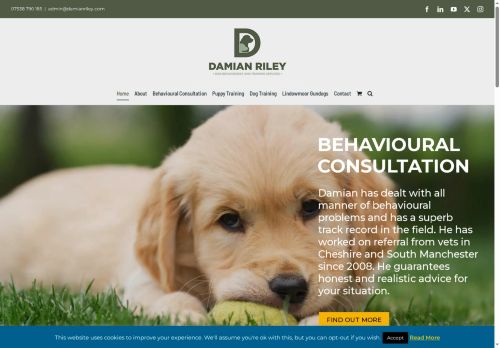 damianriley.com capture - 2025-06-10 20:43:51