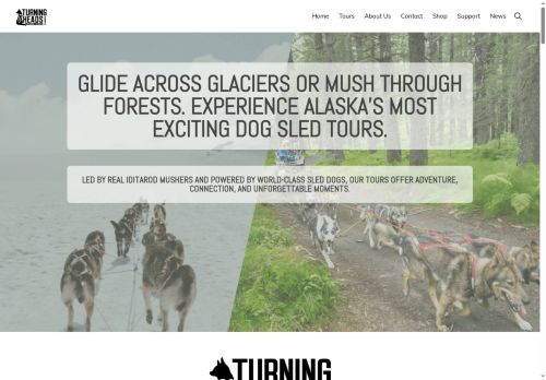 turningheadskennel.com capture - 2025-06-10 20:45:58