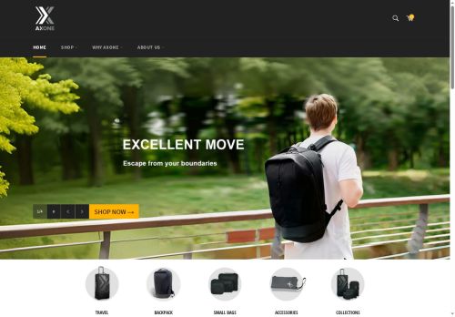 axonebags.com capture - 2025-06-10 20:51:25