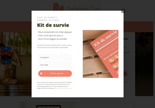 optimismecool.com capture - 2025-06-10 21:16:17