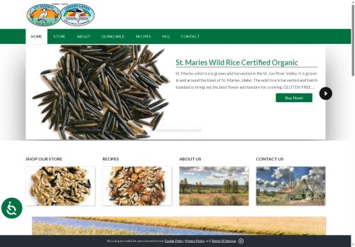 wildriceonline.com capture - 2025-06-10 23:12:17