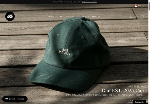 oevaaliartshop.com capture - 2025-06-10 23:20:12