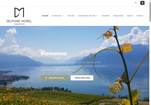 morel-vins.ch capture - 2025-06-11 00:42:17
