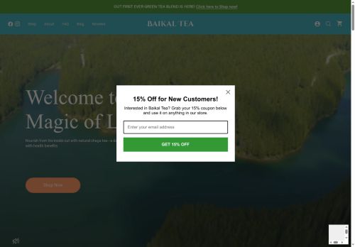 Baikal Tea capture - 2025-06-11 03:20:45