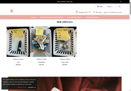 polainco.com capture - 2025-06-11 03:40:53