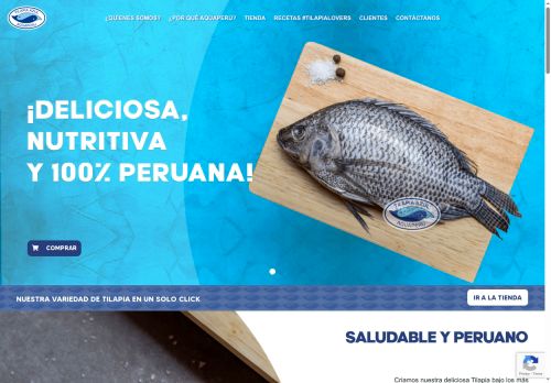 aquaperu.com capture - 2025-06-11 07:38:24