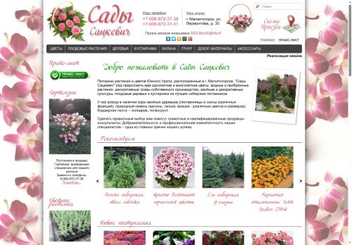 satskevich.ru capture - 2025-06-11 11:03:30