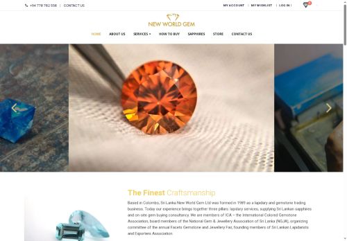 newworldgem.com capture - 2025-06-11 12:56:21