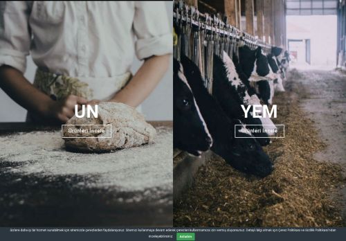 isasgida.com capture - 2025-06-11 13:49:18