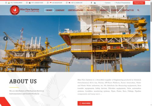 blissflowsystems.com capture - 2025-06-11 14:17:35