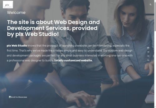 plxwebdev.com capture - 2025-06-11 18:57:51