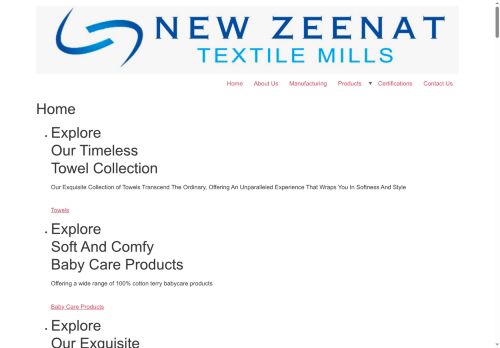 newzeenat.com capture - 2025-06-11 20:00:05