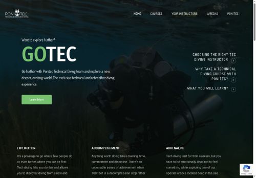 ponitec.com capture - 2025-06-11 20:09:55