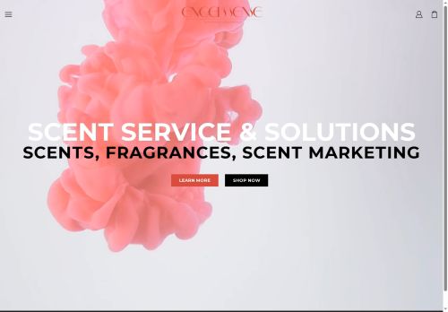 engelssense.com capture - 2025-06-12 01:17:59