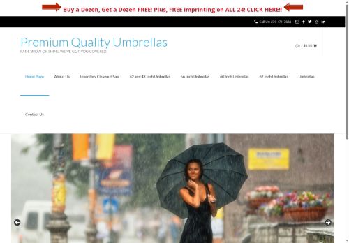 premiumqualityumbrellas.com capture - 2025-06-12 01:30:02