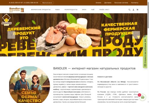 bandler.ru capture - 2025-06-12 01:43:25