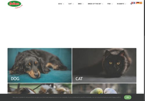 bubimex.com capture - 2025-06-12 13:37:10