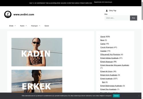 avdini.com capture - 2025-06-12 14:11:09