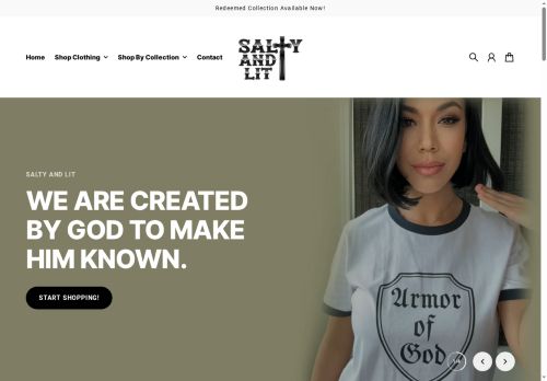 saltyandlit.com capture - 2025-06-12 17:31:37