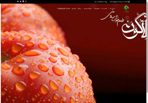 deltaala.com capture - 2025-06-12 18:32:22