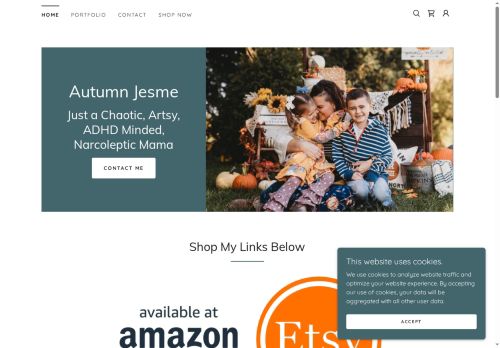 shirttraveler.com capture - 2025-06-12 19:14:48