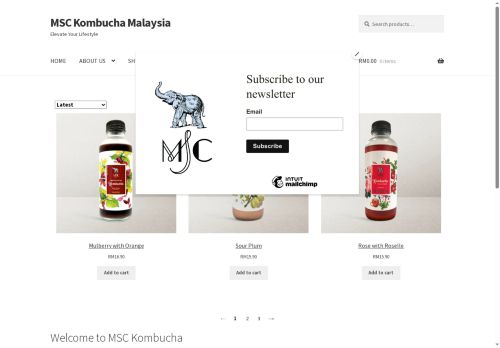 msckombucha.com capture - 2025-06-12 19:17:25