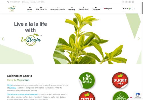 steviala.com capture - 2025-06-12 19:34:43