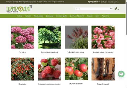 xn---71-5cdtx6bgjb.xn--p1ai capture - 2025-06-12 19:50:57