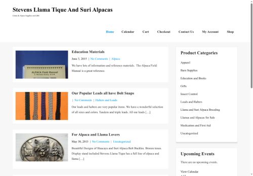 stevenstique.com capture - 2025-06-12 20:29:29