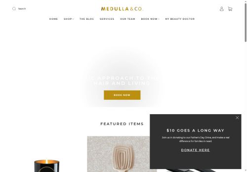 medullaco.com capture - 2025-06-12 21:33:30