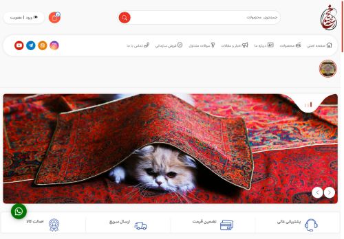 termehkhojasteh.com capture - 2025-06-12 22:59:20