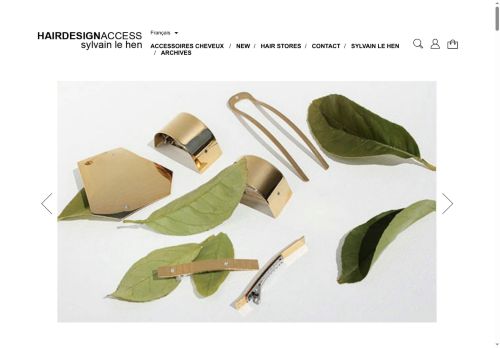 hairdesignaccess.com capture - 2025-06-12 23:42:11