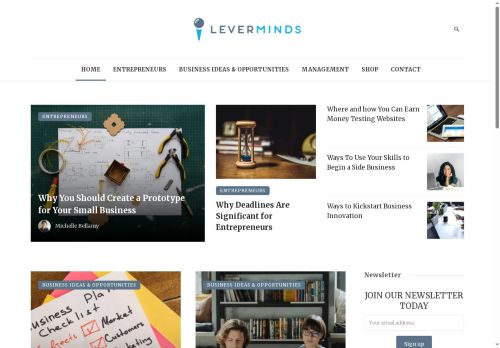 leverminds.com capture - 2025-06-13 03:02:24