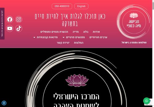 hayacaspi.com capture - 2025-06-13 10:12:46