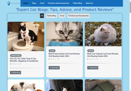 catnias.com capture - 2025-06-13 12:04:09