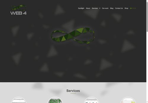 web4infinity.com capture - 2025-06-13 14:20:34