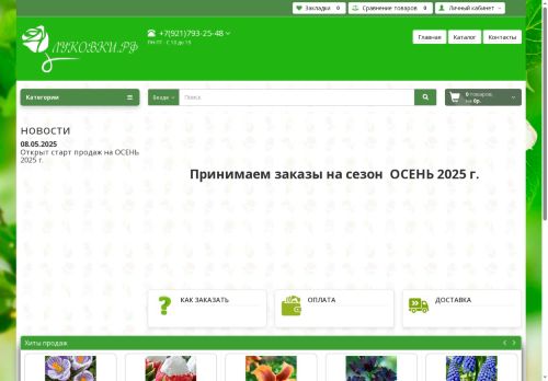 xn--b1amebct7a.xn--p1ai capture - 2025-06-13 14:38:05