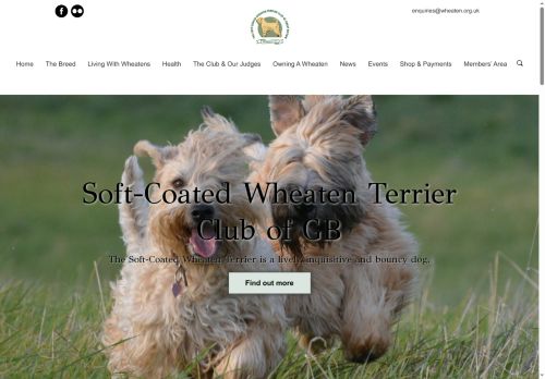 wheaten.org.uk capture - 2025-06-13 15:05:55