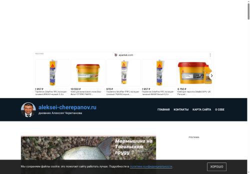 chak110671.ru capture - 2025-06-13 16:49:49