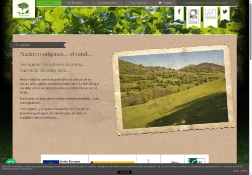 casagarzea.com capture - 2025-06-13 19:04:09