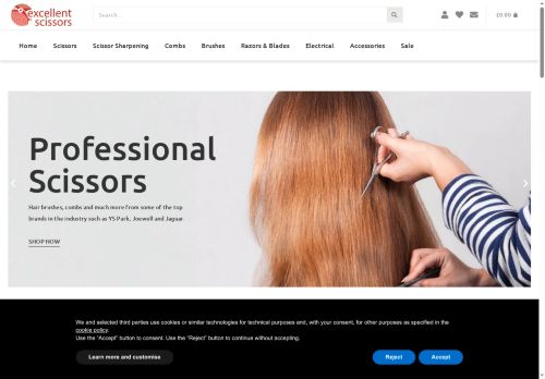 excellent-scissors.com capture - 2025-06-13 20:35:29