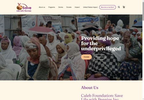 savelifewithpennies.org capture - 2025-06-13 20:42:52