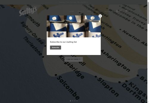 saltysstudio.com capture - 2025-06-13 20:58:00