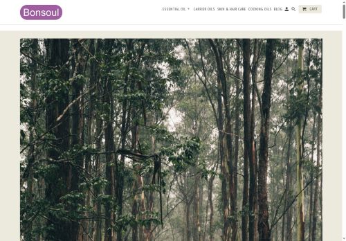 mybonsoul.com capture - 2025-06-13 21:30:07