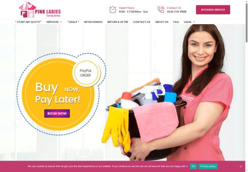 cleaningbypinkladies.co.uk capture - 2025-06-13 21:53:44