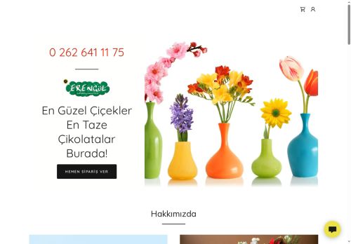 erengul.com capture - 2025-06-14 00:34:06