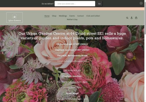 iglooflowers.com capture - 2025-06-14 01:48:36