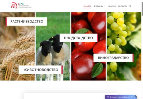 pagro.ru capture - 2025-06-14 15:17:05